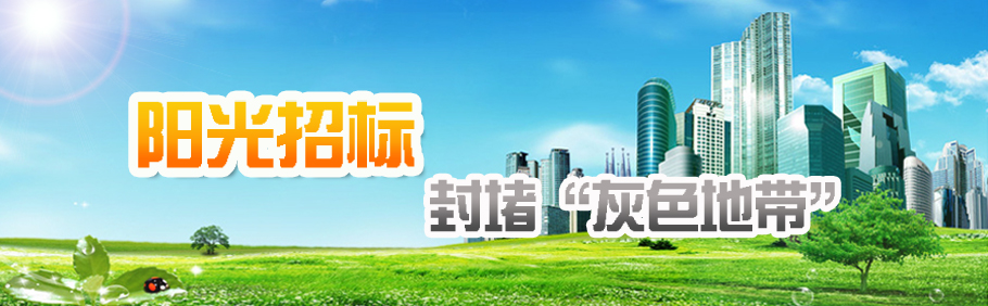 集团公司采购领导小组召开2017年第一次会议