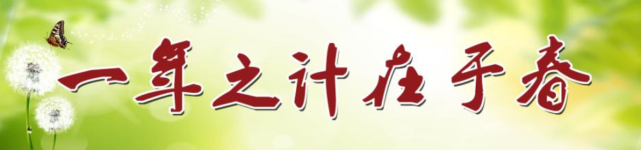 中都投资集团召开新年收心工作会